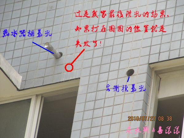 ȿûģҼҵΪܵľұǸס