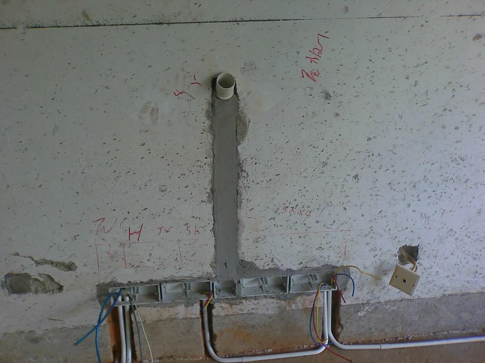 201008010800_099.jpg