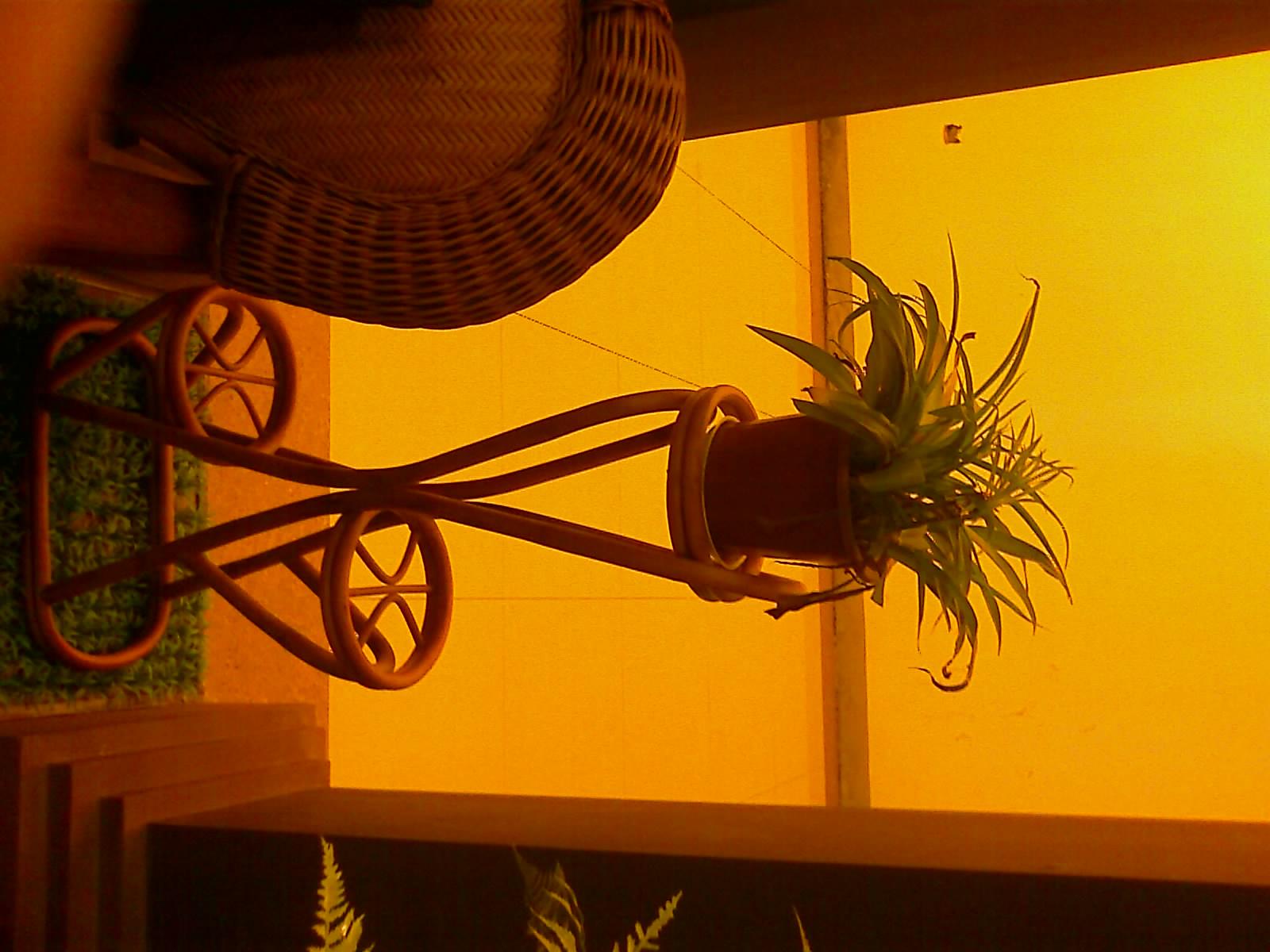 201007311052_063.jpg