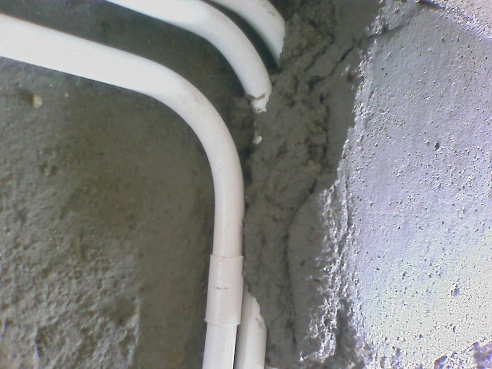 201008031427_118.jpg