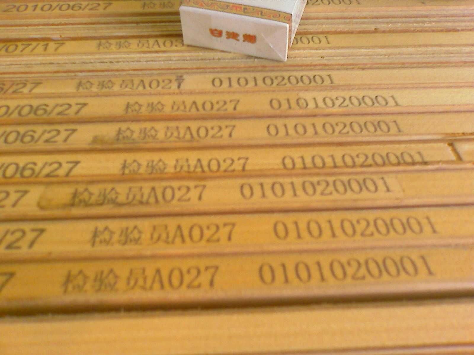 201008050930_134.jpg