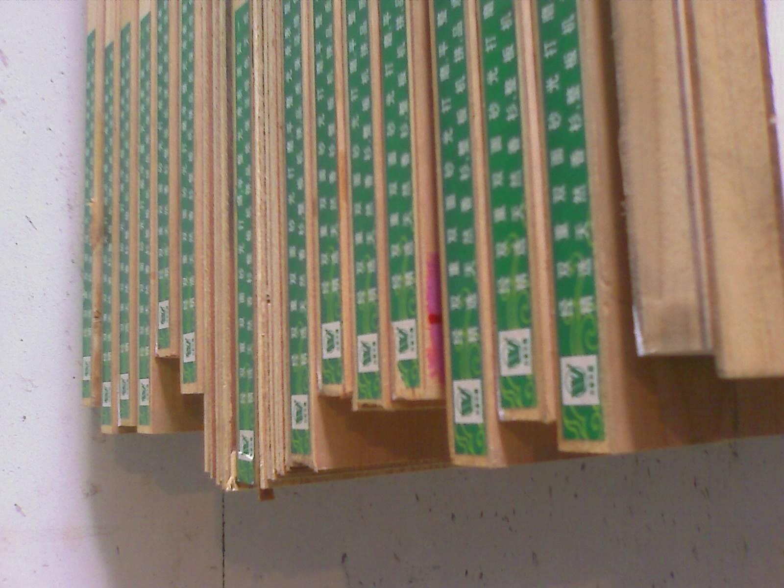 201008050929_130.jpg