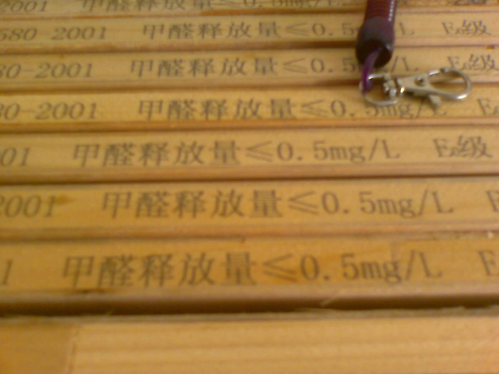 201008050930_132.jpg