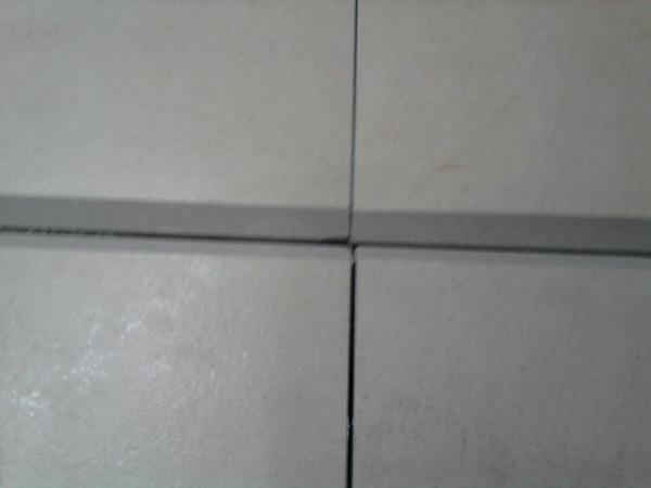 SNC00442.jpg