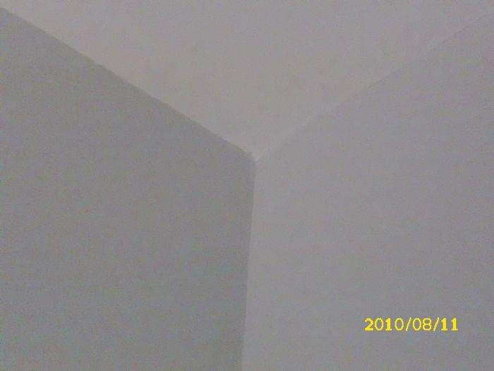 DSCI0549.JPG