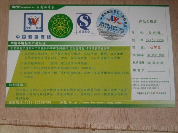 SNC00476.jpg