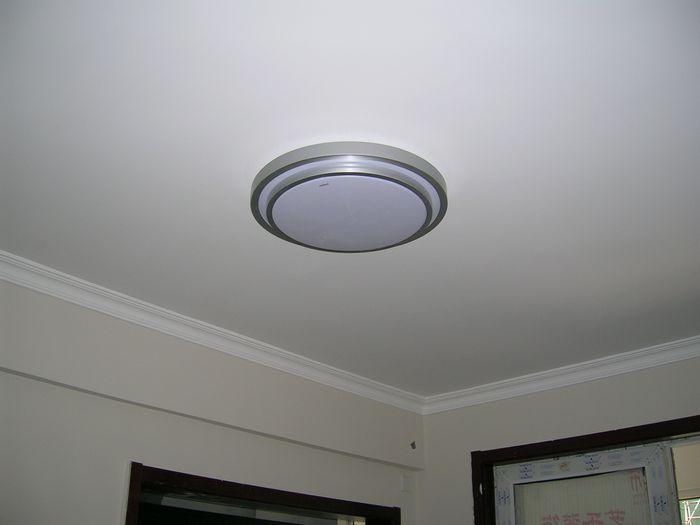 DSCN0736.JPG
