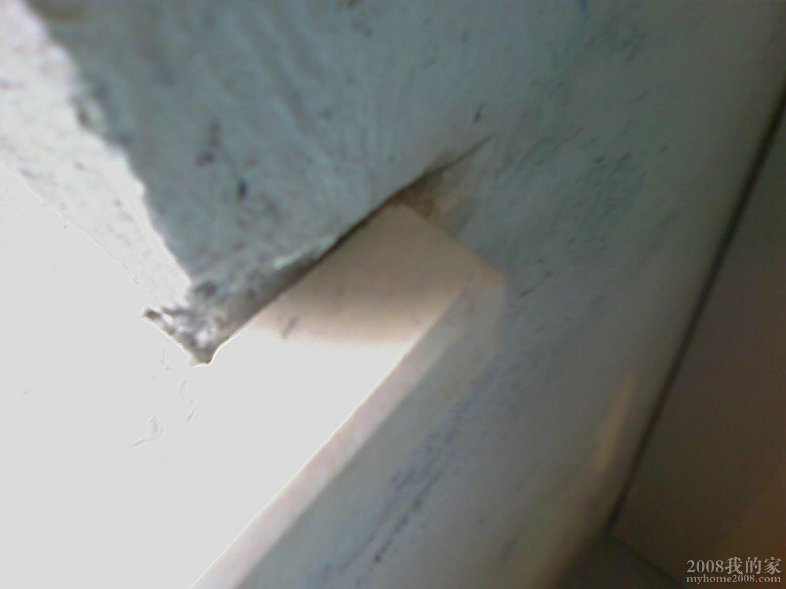 201008231759_195.jpg