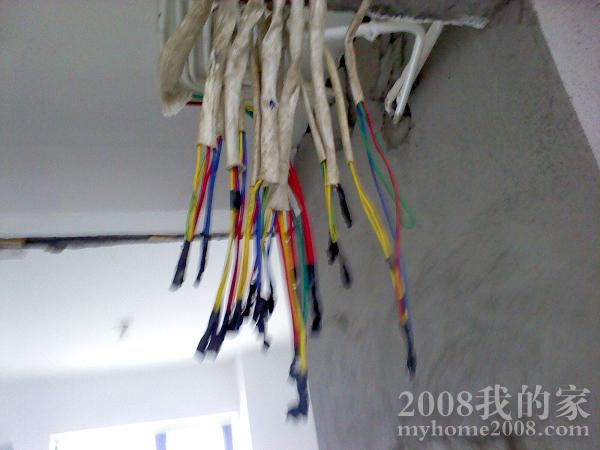 nEO_IMG_Ƭ0981.jpg