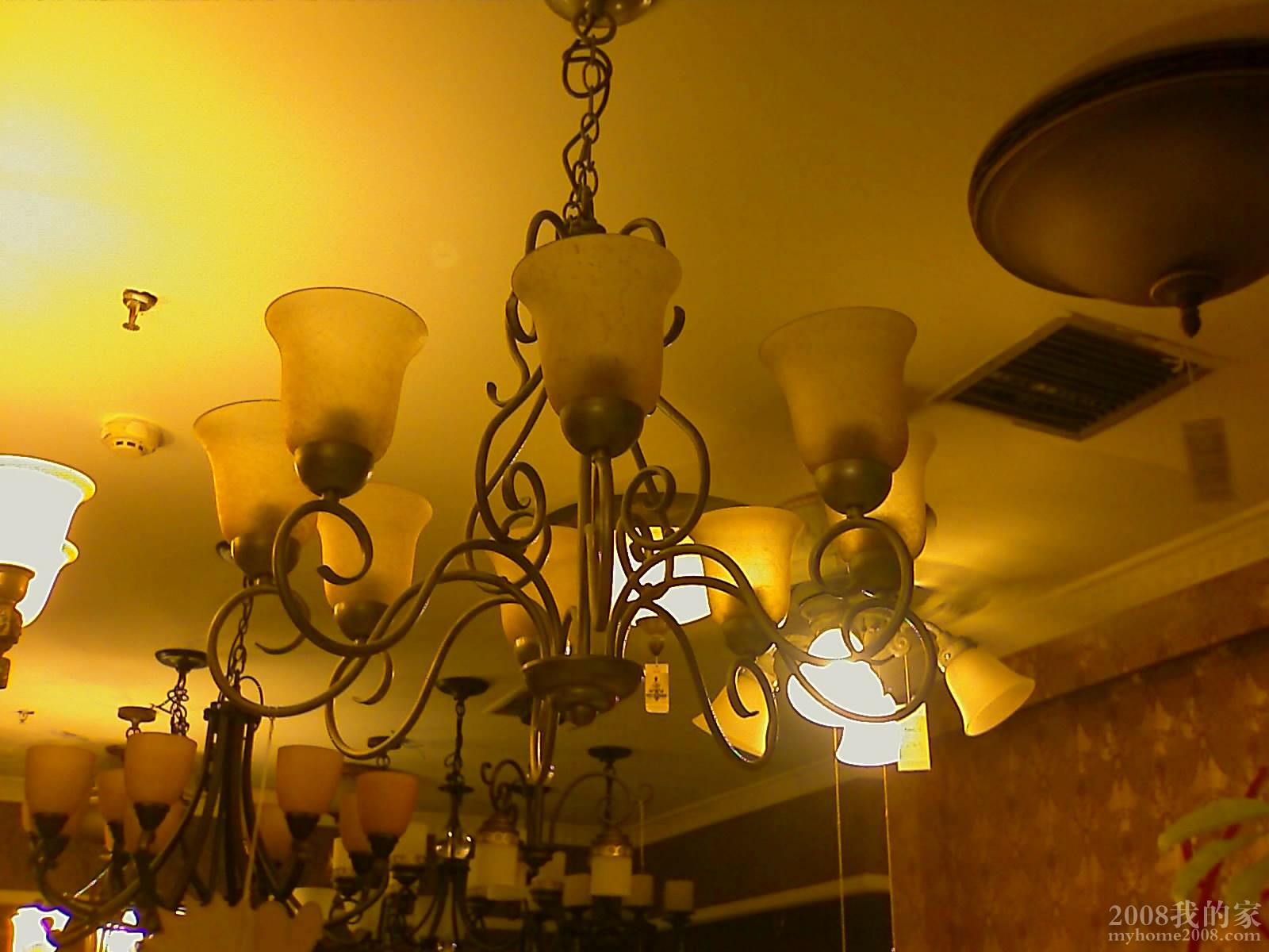 201009051024_227.jpg