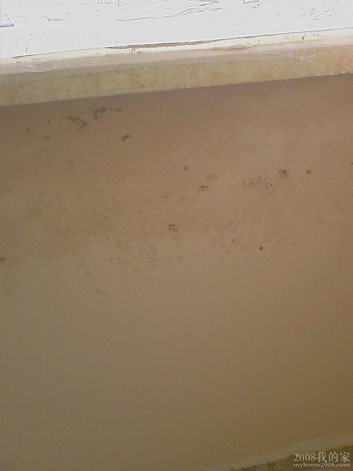 201009151643_303.jpg