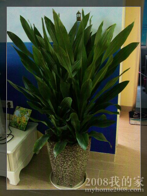 IMAG0021.jpg