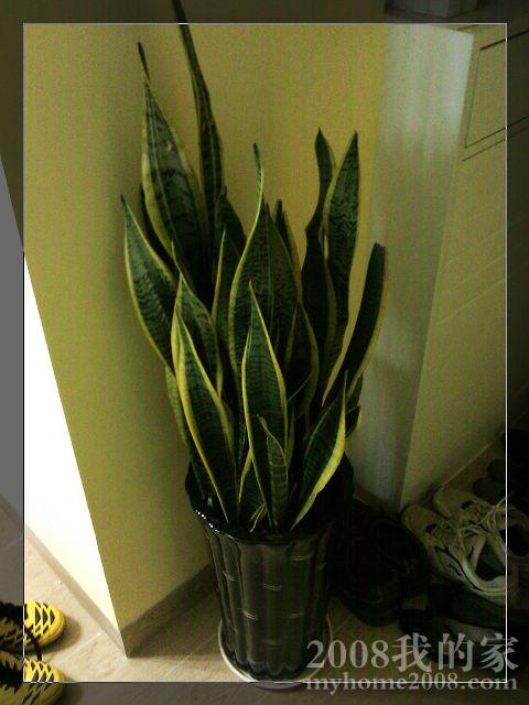 IMAG0022.jpg