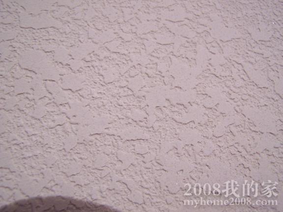 100_0979x.JPG