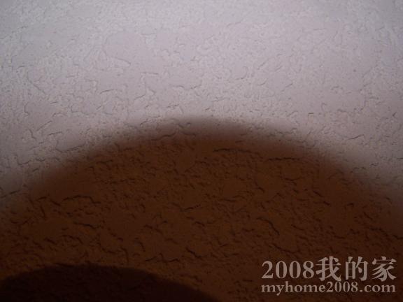 100_0978x.JPG