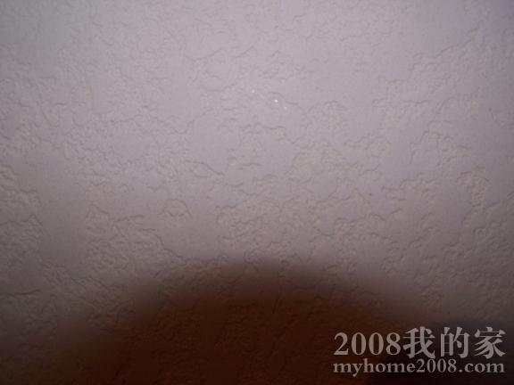 100_0977x.JPG