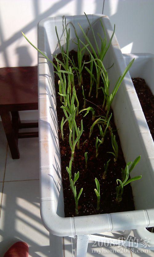 IMAG0043.jpg