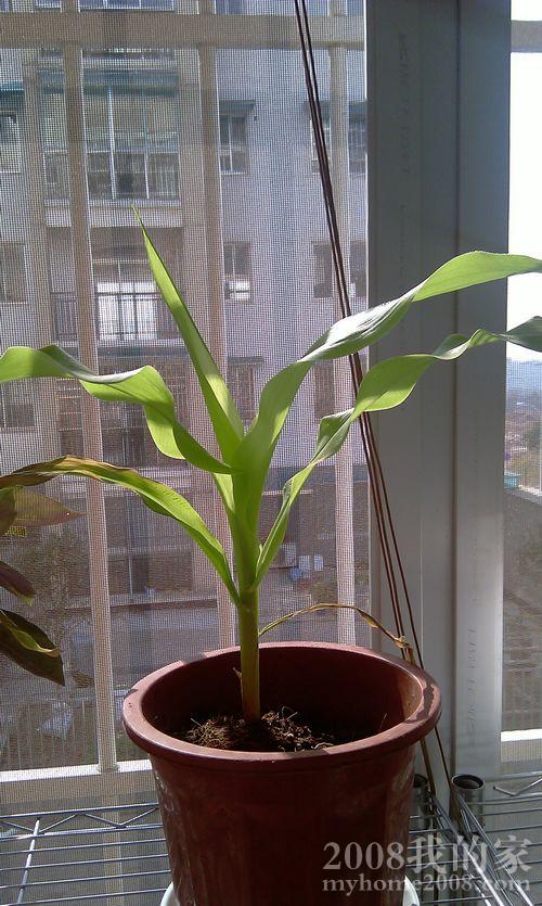 IMAG0094.jpg