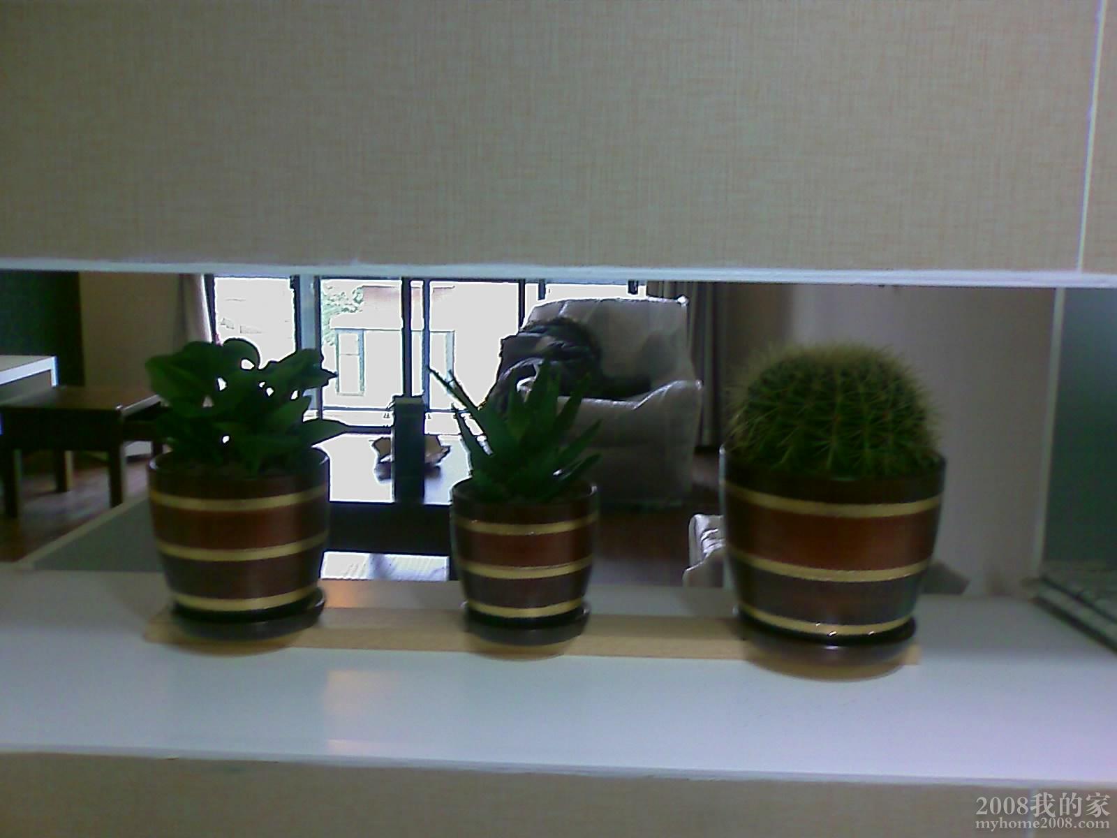 200801121026_027.jpg