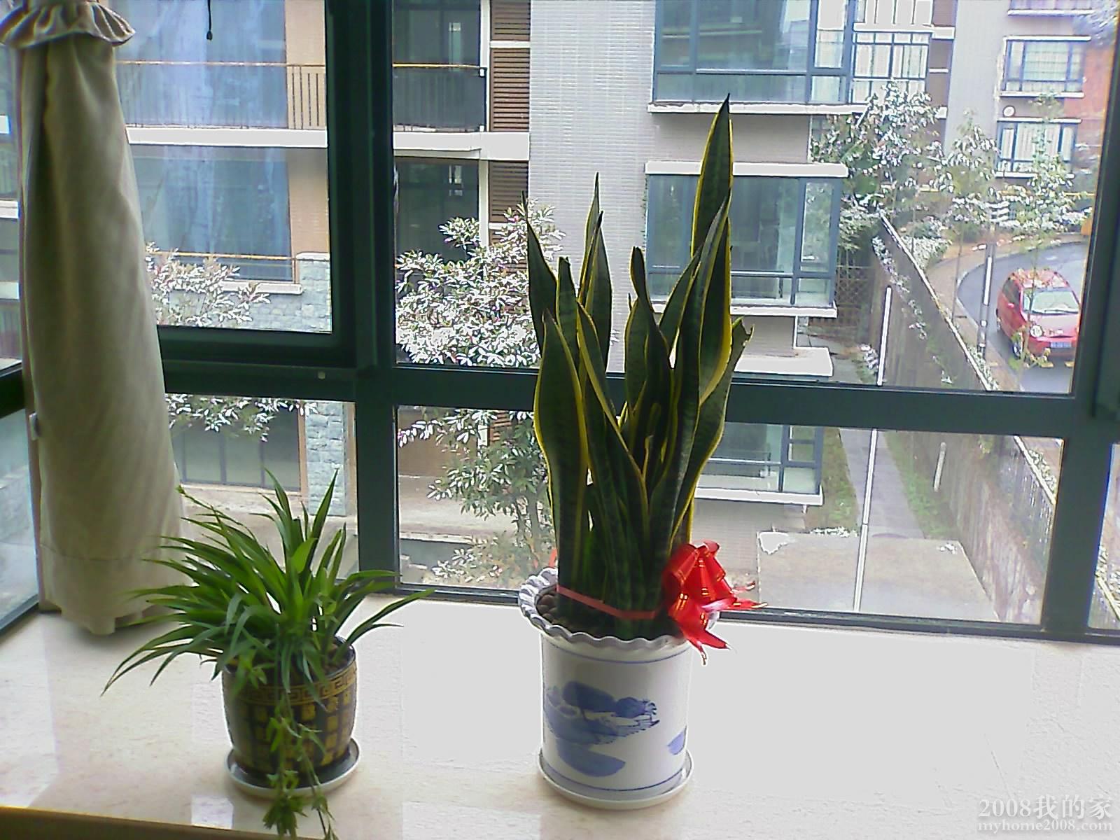 200801121027_030.jpg