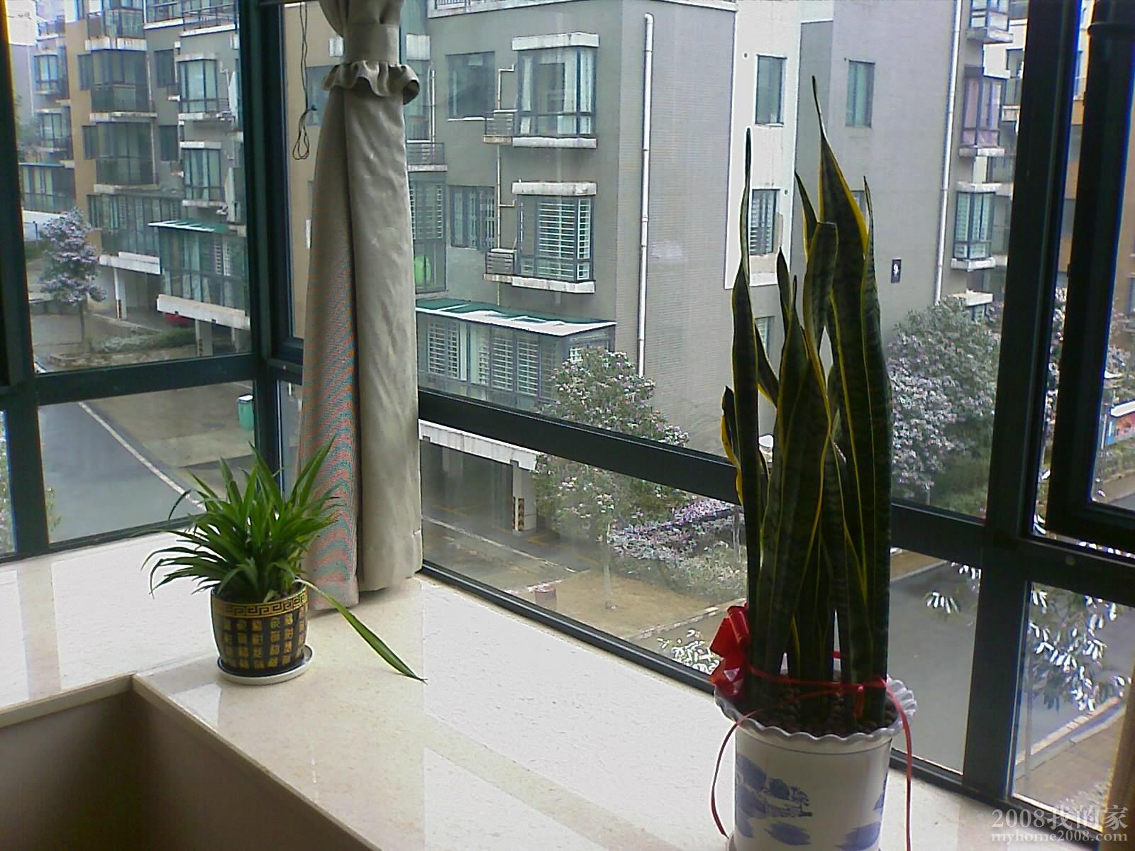 200801121028_033.jpg