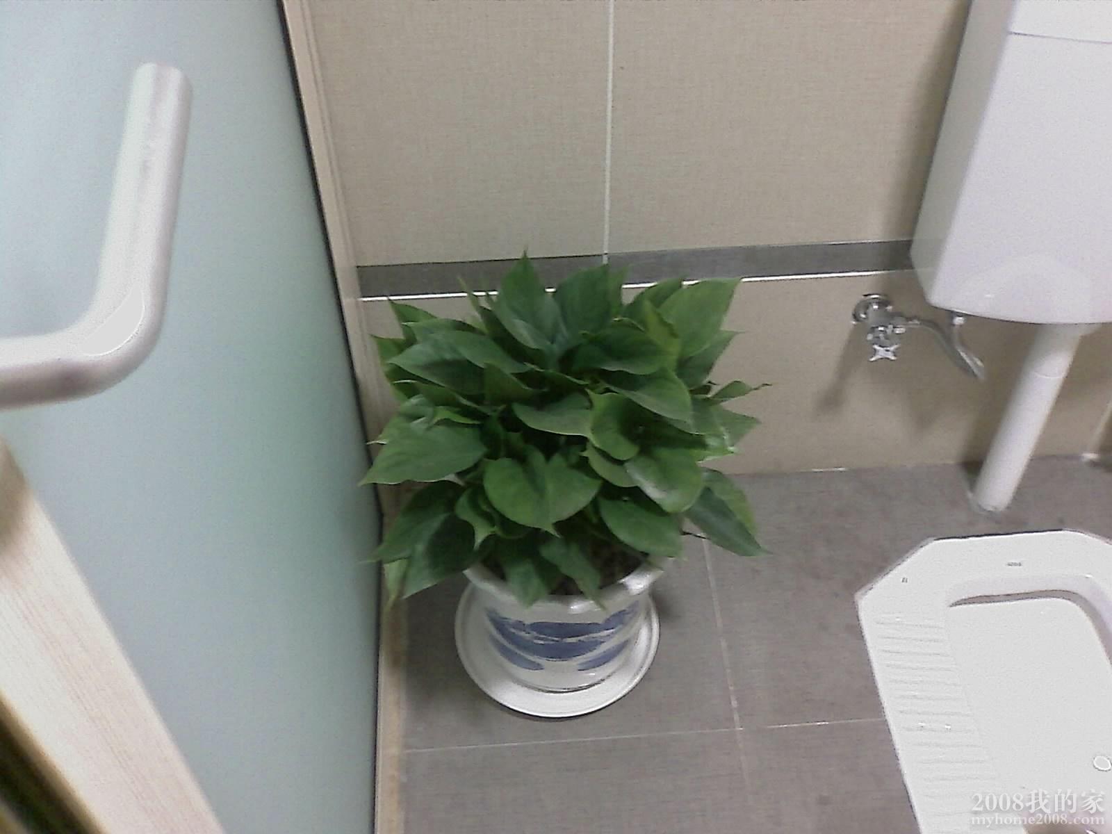 200801121028_035.jpg