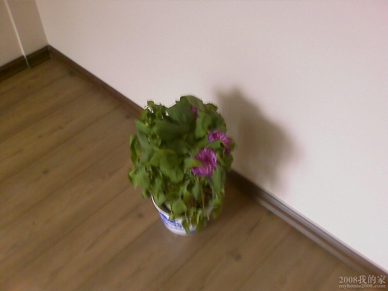 200801121027_031.jpg