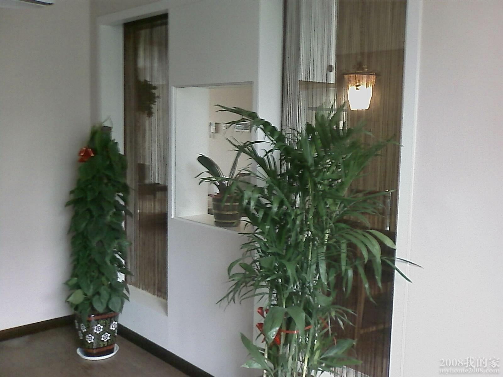 200801121027_029.jpg