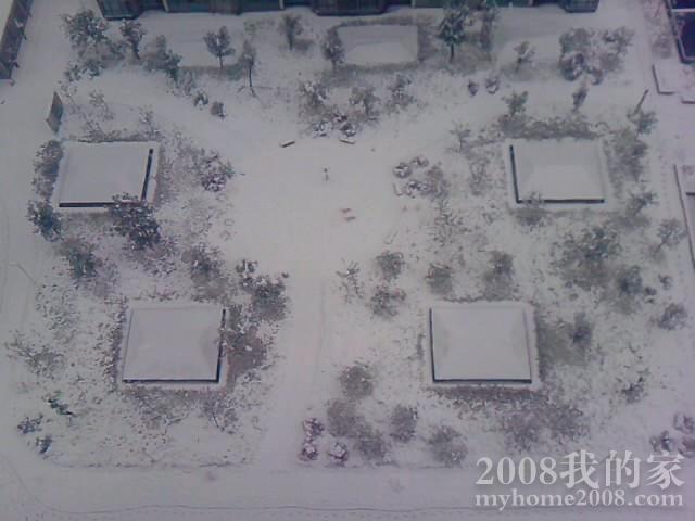 P200111_07.47.jpg