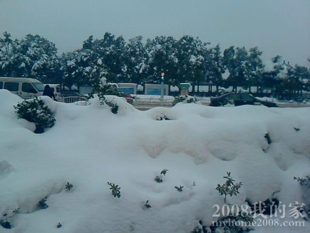 P200111_08.52.jpg