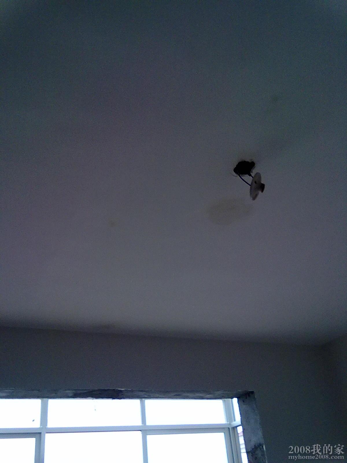 20110220 014.jpg
