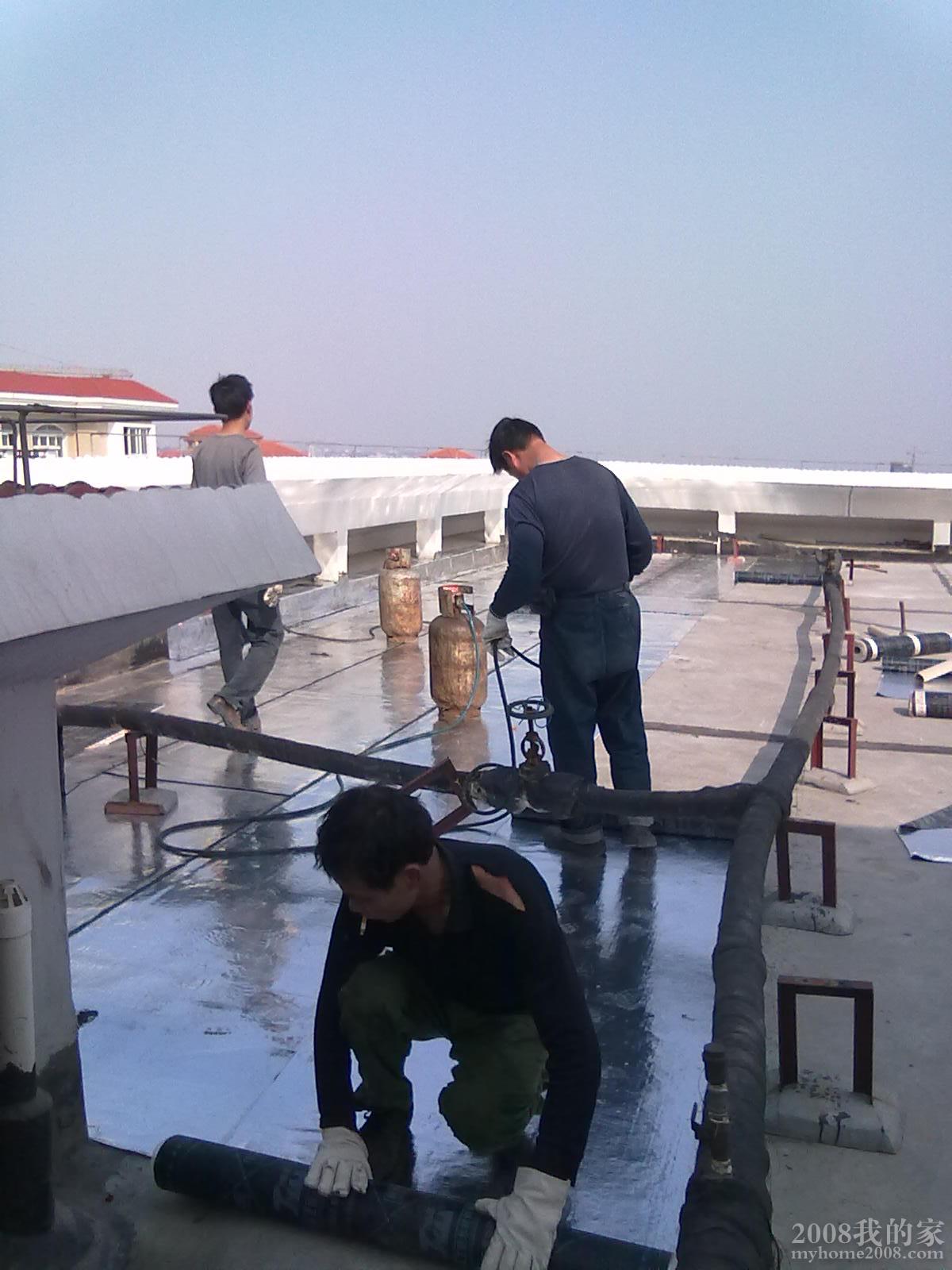 20110220 024.jpg