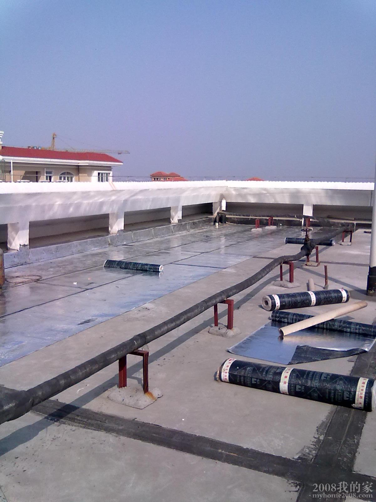 20110220 023.jpg