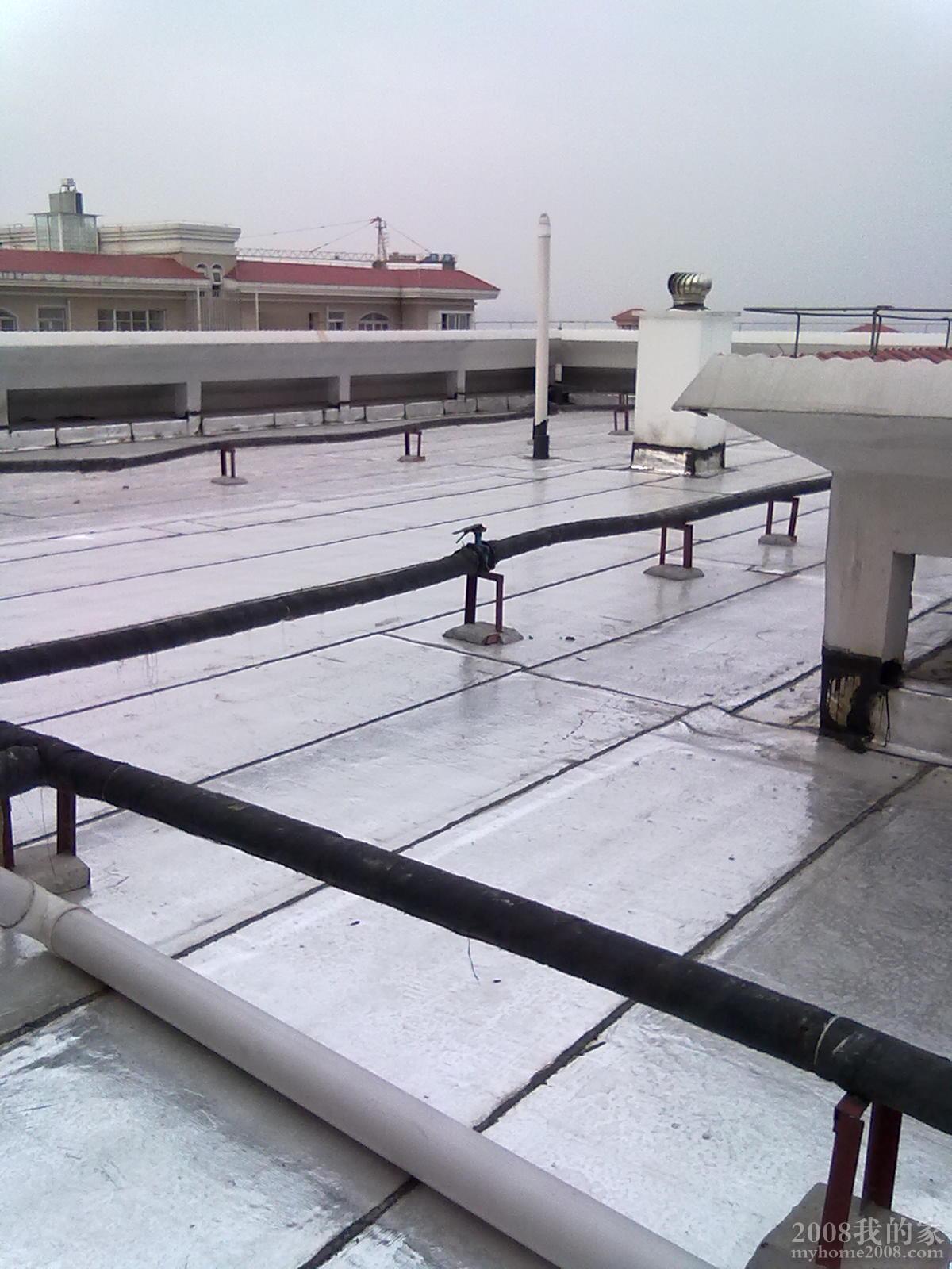 20110313157.jpg
