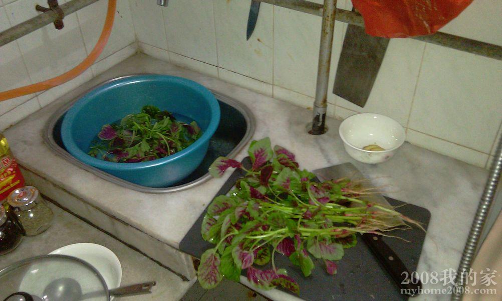 IMAG0391.jpg