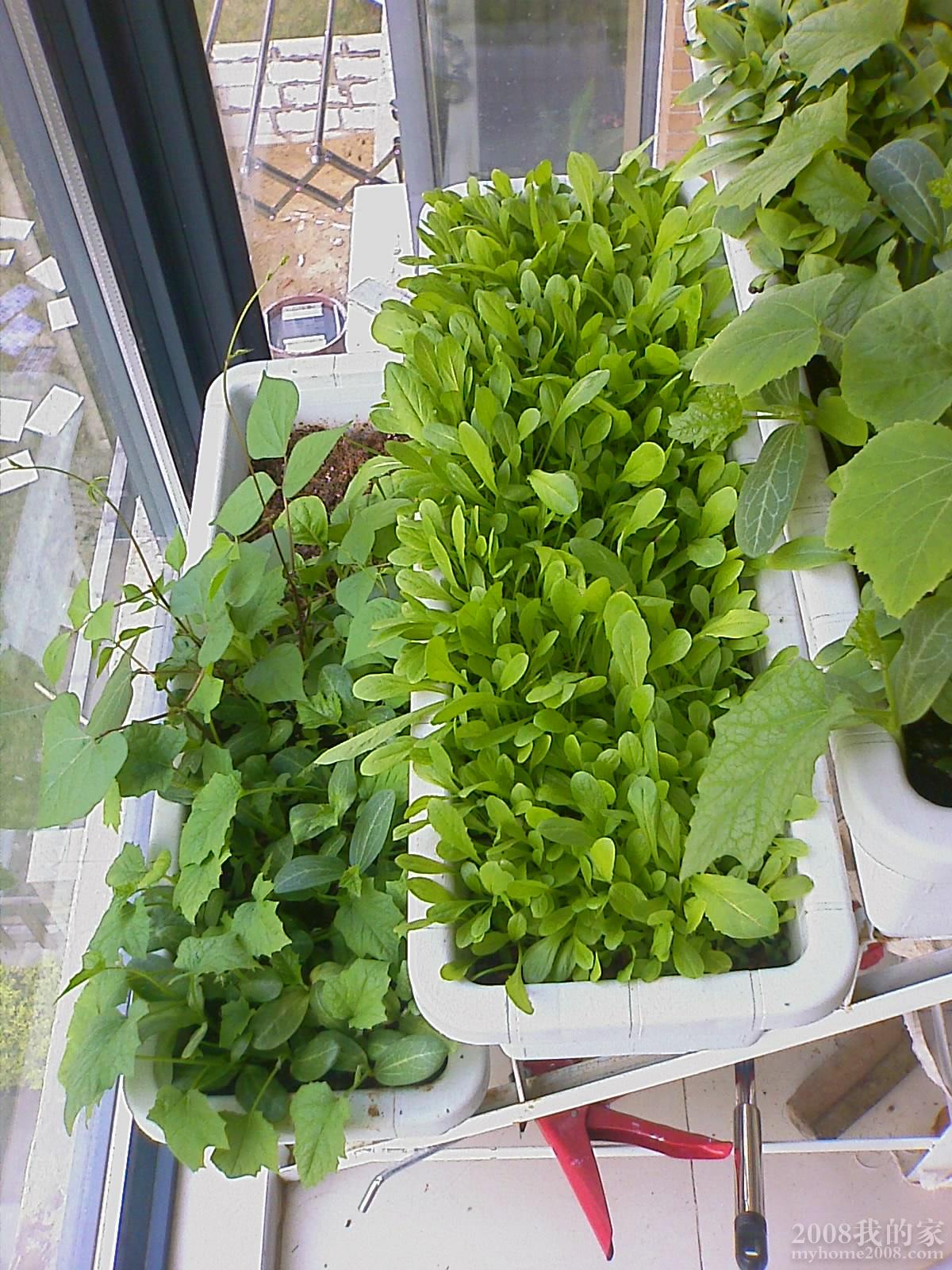 201104270718_016.jpg