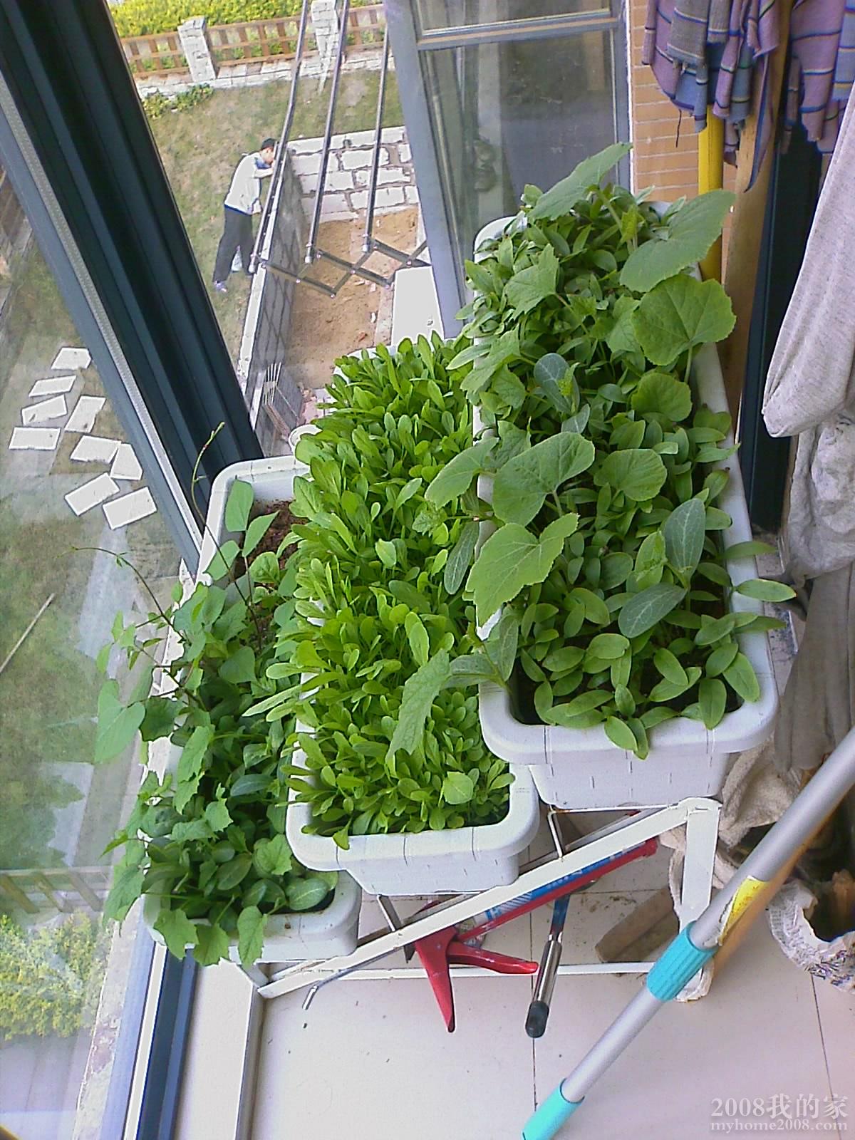201104270719_017.jpg