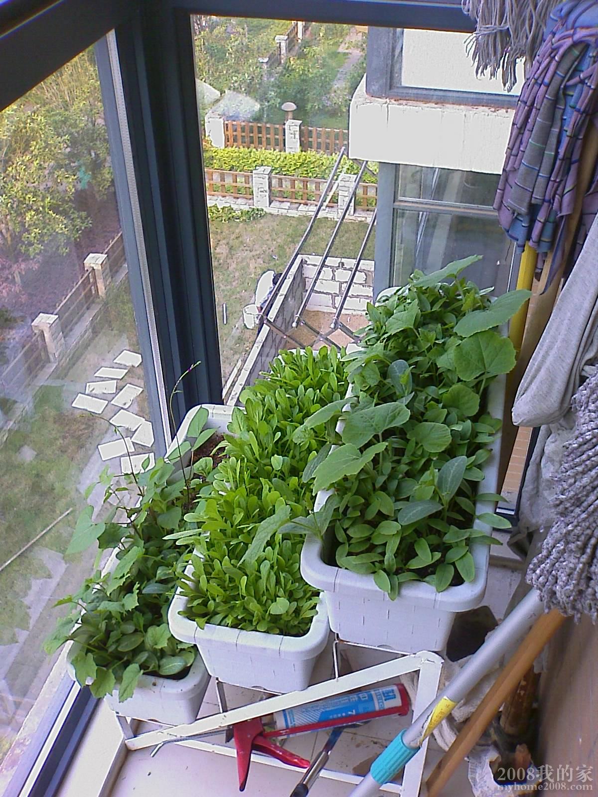 201104270718_015.jpg