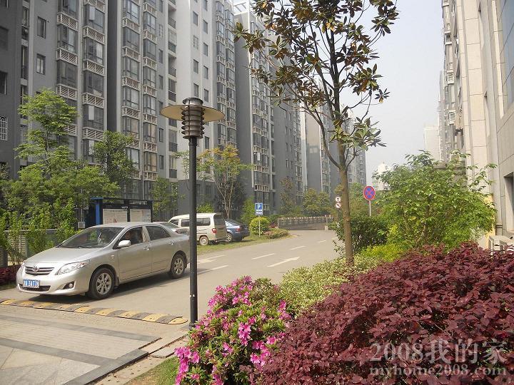 DSCN0256.JPG
