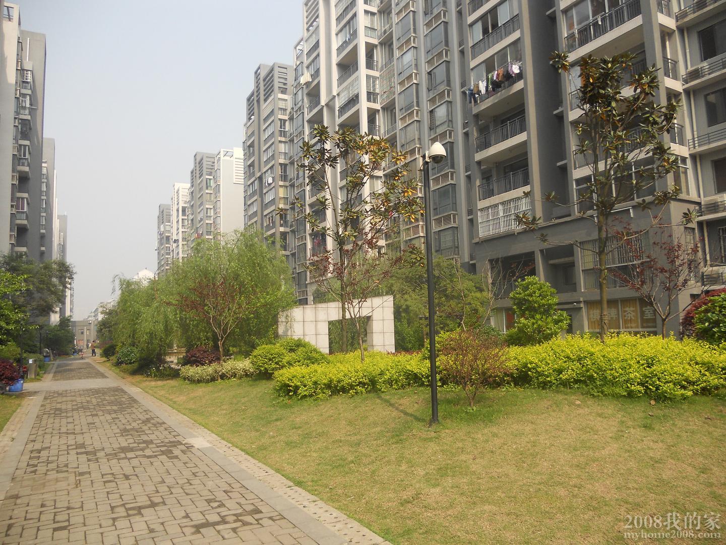 DSCN0260.JPG