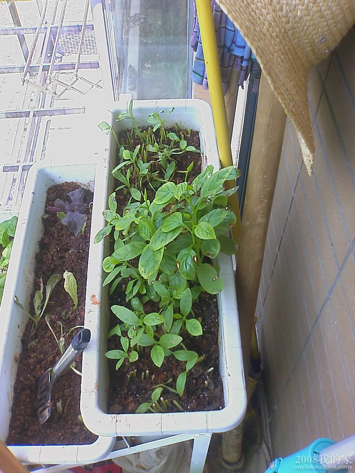 201105281051_043.jpg