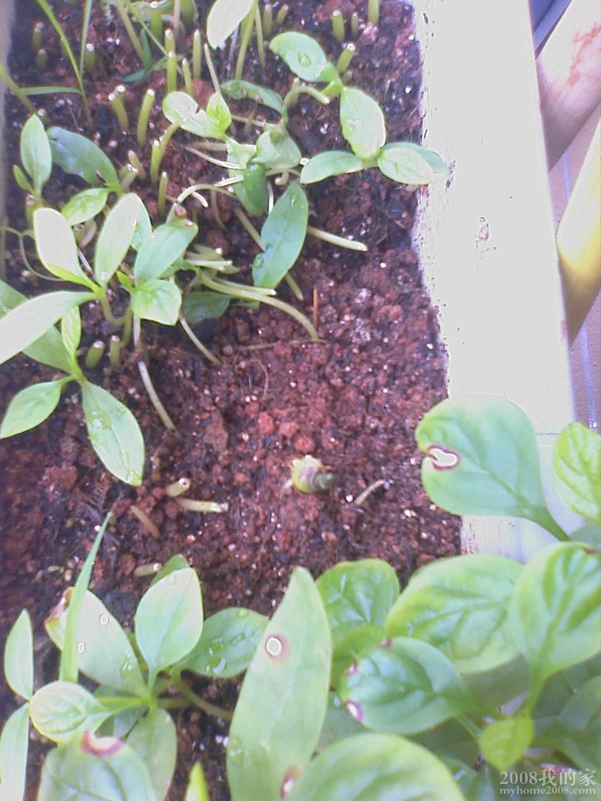 201105281051_044.jpg