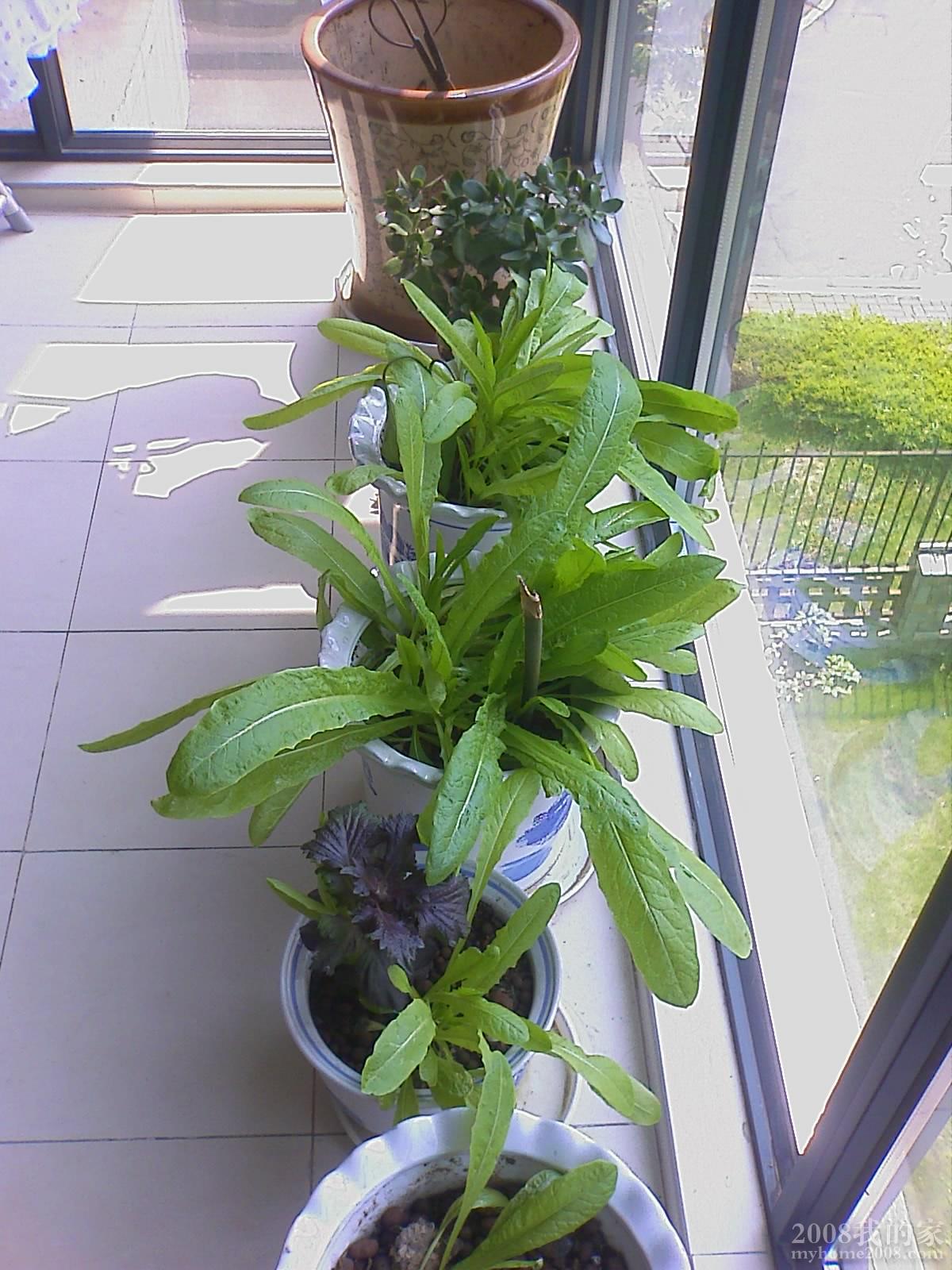 201105281051_047.jpg