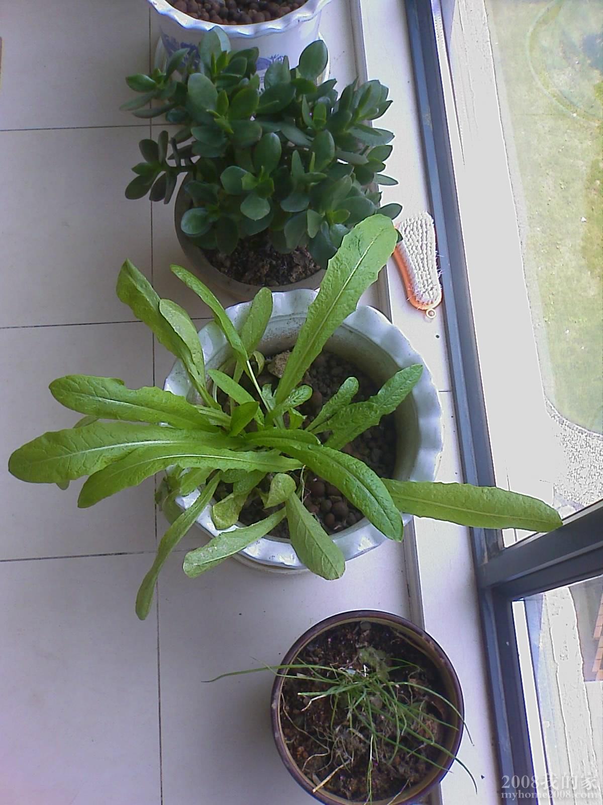 201105281051_046.jpg