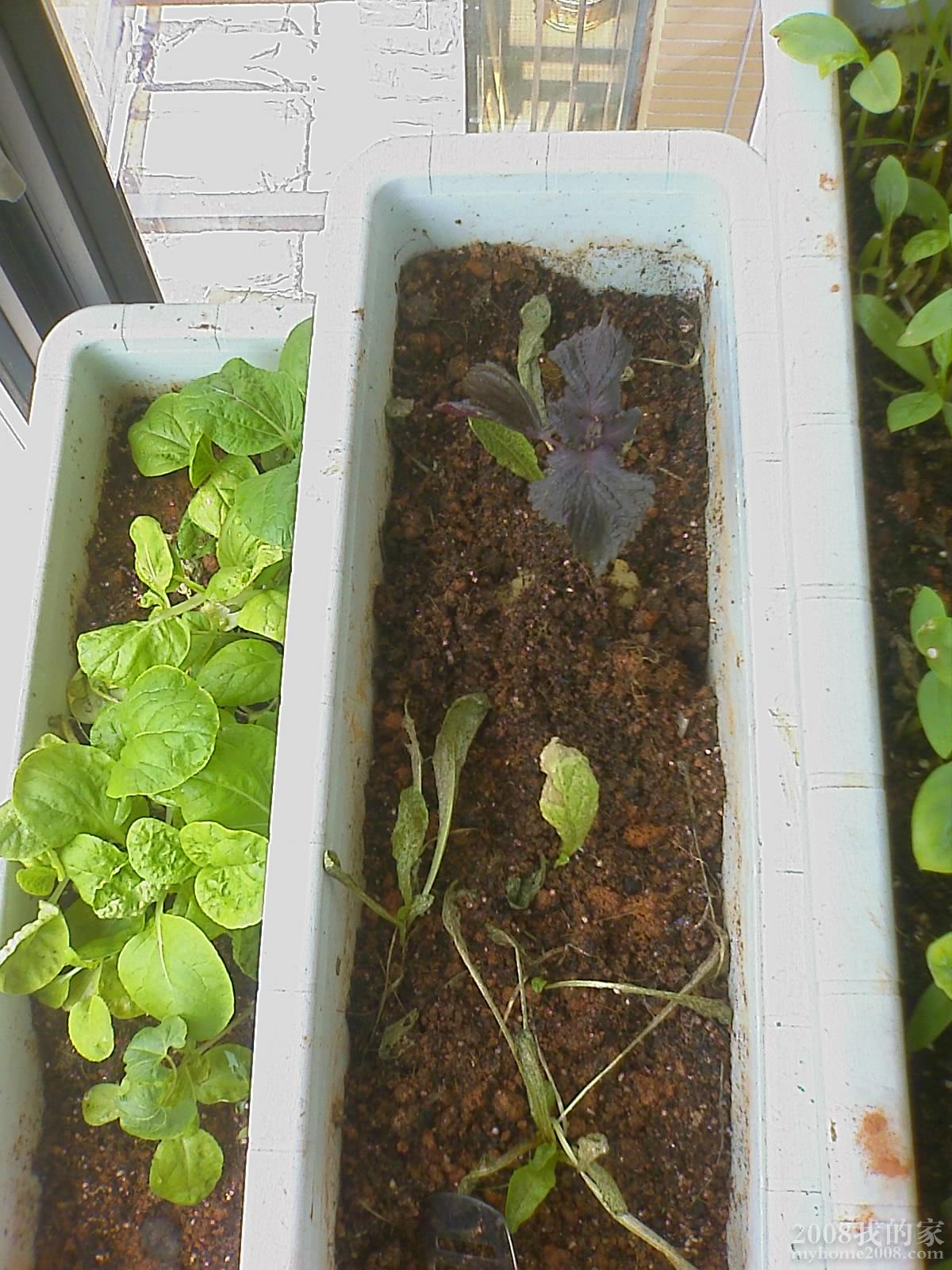 201105281051_045.jpg