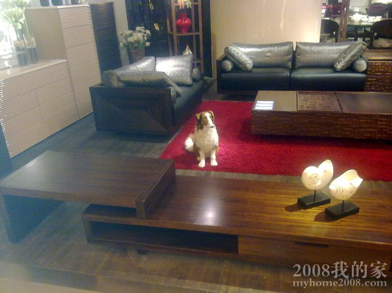 20110601279_.jpg