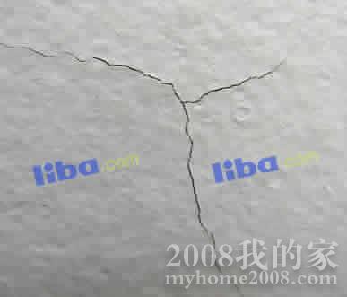 31334497.jpg