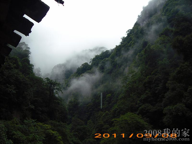 IMG_9501_.jpg