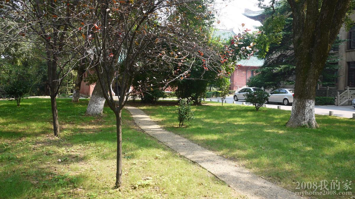 P1000743.JPG