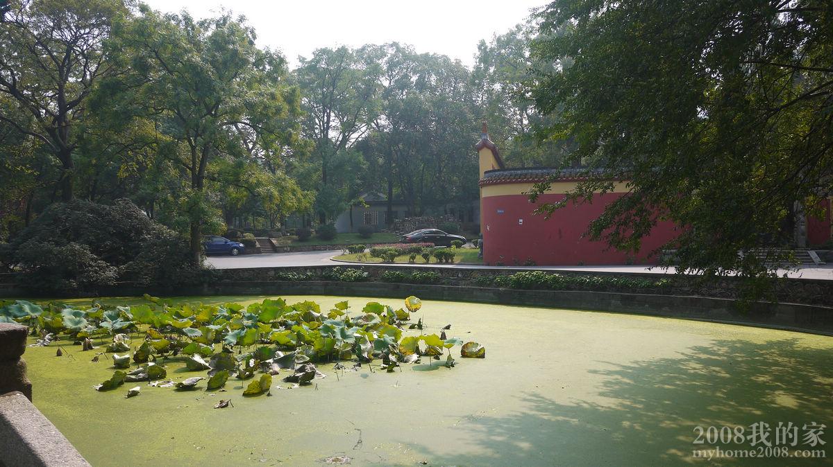P1000705.JPG